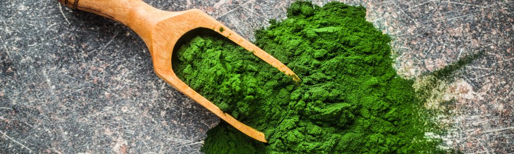Pudra de Chlorella: aliatul tău pentru sănătate