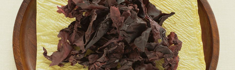 Dulse: Alga benefică care are gust de bacon