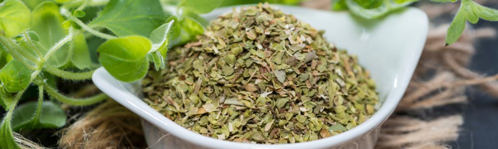 Oregano: beneficii, proprietăți, contraindicații