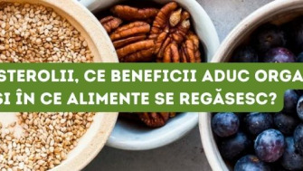 Ce sunt fitosterolii, ce beneficii aduc organismului și în ce alimente se regăsesc?