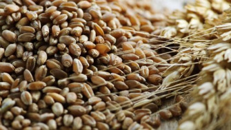 14 alimente sănătoase din cereale integrale (inclusiv opțiuni fără gluten)