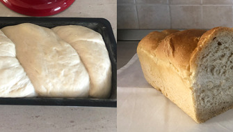 Paine de casa