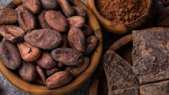 Top 5 beneficii ale teobrominei