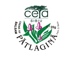 Unguent de patlagina Ceta Sibiu - 20 g