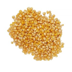Porumb popcorn VRAC (sac) 22.68 kg