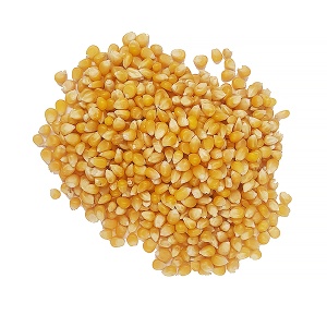 Porumb popcorn VRAC (sac) 25 kg