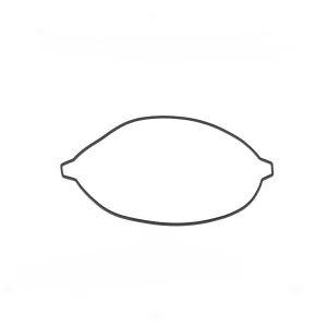 Garnitura capac ambreiaj ATHENA S410270016001 outer