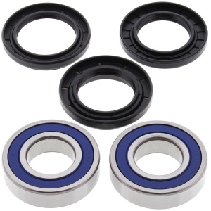 Kit rulmenti si garnituri roata All Balls Racing 25-1542