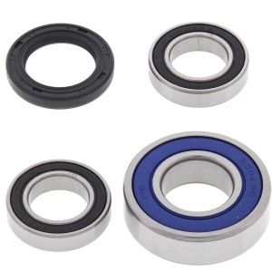 Kit rulmenti si garnituri roata All Balls Racing WB25-1162