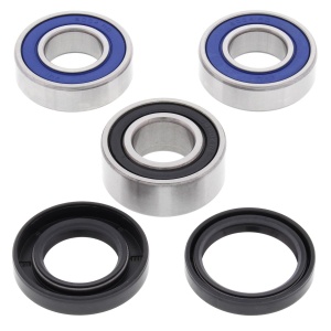 Kit rulmenti si garnituri roata All Balls Racing WB25-1419