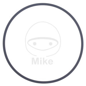 Garnitura pompa de apa ATHENA M752006000004 2X60 mm