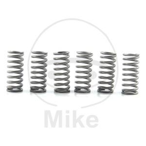 Kit arcuri ambreiaj EBC CSK211 6