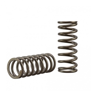 Kit arcuri ambreiaj EBC CSK239