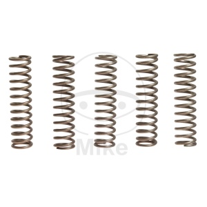 Kit arcuri ambreiaj EBC CSK110 5