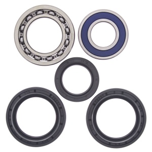 Kit rulmenti si garnituri roata All Balls Racing WB25-1139