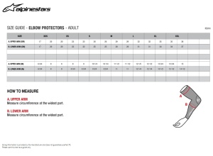 Cotiere ALPINESTARS BIONIC PLUS - Img 2