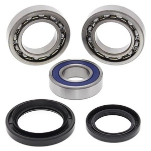 Kit rulmenti si garnituri diferential All Balls Racing DB25-2039