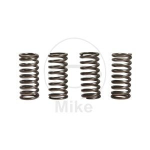 Kit arcuri ambreiaj EBC CSK016 4