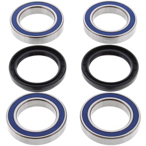 Kit rulmenti si garnituri roata All Balls Racing WB25-1456