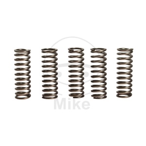 Kit arcuri ambreiaj EBC CSK123 5