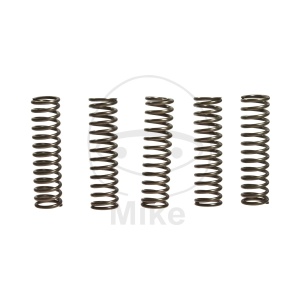 Kit arcuri ambreiaj EBC CSK128 5