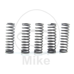 Kit arcuri ambreiaj EBC CSK169 5