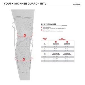 Genunchiere pentru copii ALPINESTARS BIONIC PLUS YOUTH - Img 3
