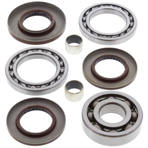 Kit rulmenti si garnituri diferential All Balls Racing DB25-2081