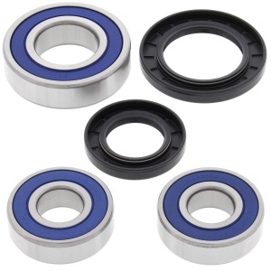 Kit rulmenti si garnituri roata All Balls Racing WB25-1449