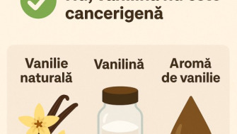 Este vanilina cancerigena? Adevarul stiintific si cum o deosebim de vanilia naturala
