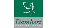 Damhert