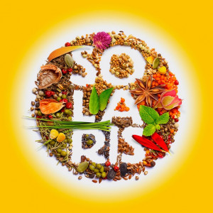 SOLARIS