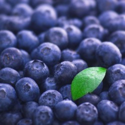 102312_blueberries