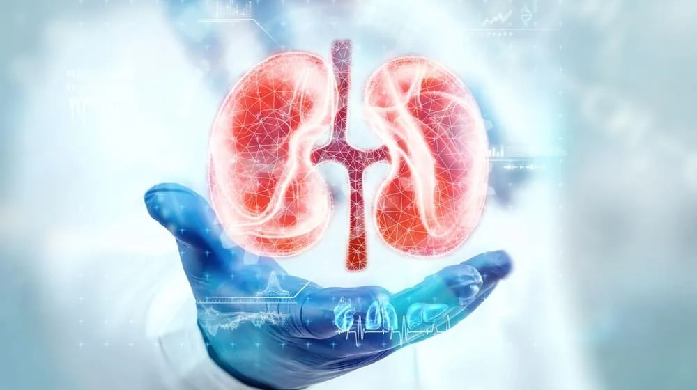 SISTEM RENAL