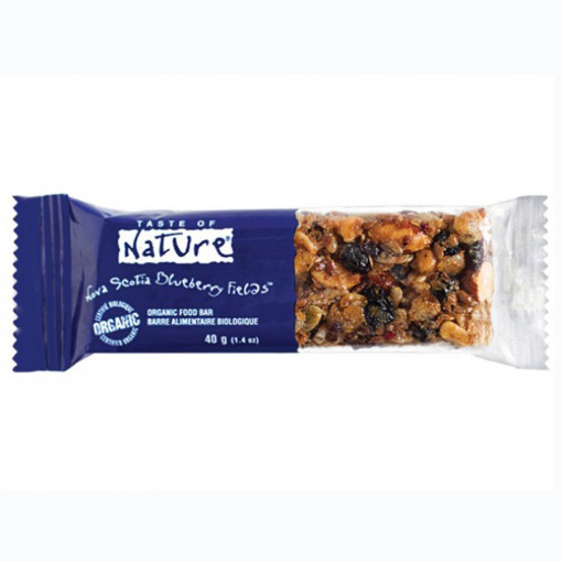 Baton bio cu afine (fara zahar, gluten, vegan) 40g - Taste of Nature