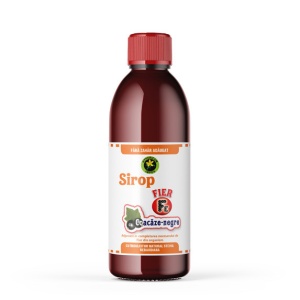 Sirop Fier cu Coacaze Negre cu Stevia (fara zahar)500ml HYPERICUM