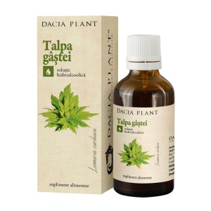 TINCTURA TALPA GASTEI 50ml DACIA PLANT