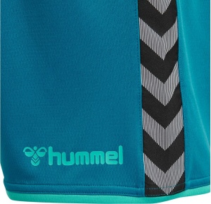 Sort de joc hummel Authentic Poly - barbati, albastru - Img 7