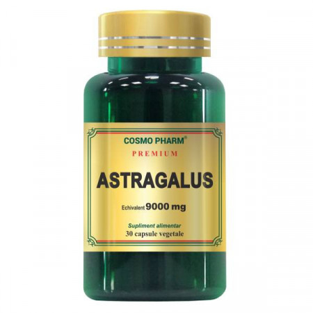 Astragalus 