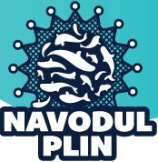 Navodul Plin