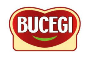 Bucegi