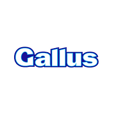Gallus
