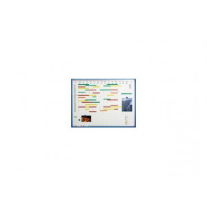 Medium TWO-WEEK PLANNER 90 X 120 CM