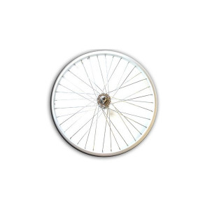ROATA - 16x1.5-1.75 - SPATE - AL SMP - (MTB, 36H, 14G)