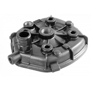 CHIULASA PIAGGIO 50 NRG 5 COLTURI