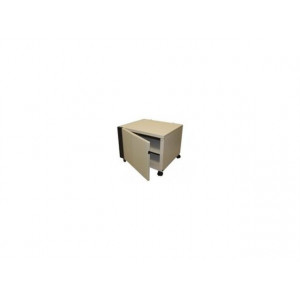 Ricoh Medium cabinet 42