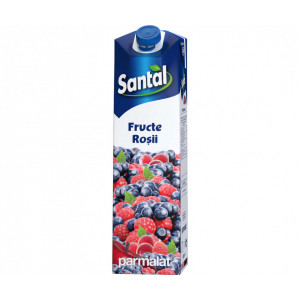 Bautura racoritoare Santal de fructe de padure 1L, NM22608
