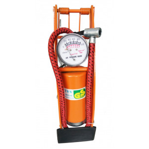 POMPA AUTO PICIOR MARE
