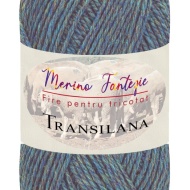 Fir Merino Fantezie F660C