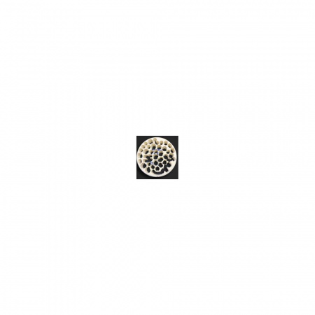 Itena Clinical - Numerys GF Disc- Ø98mm/20mm - Img 2